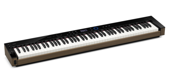 CASIO PX-S6000BK Das transportable Spitzenklassemodell
